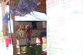 the harvest board, flowers, and salad master