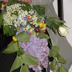 DSCN0597.jpg