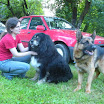 DSCN0920.jpg