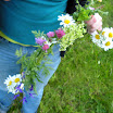 DSCN0931.jpg