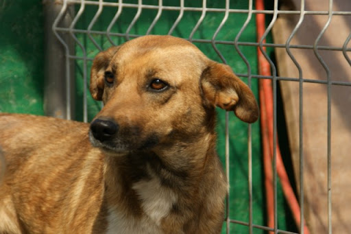 mala
