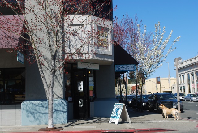 [many rivers books and tea[4].jpg]