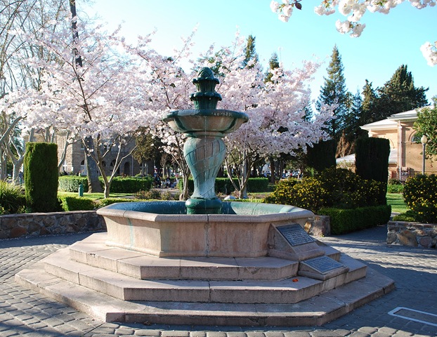 [square fountain[3].jpg]