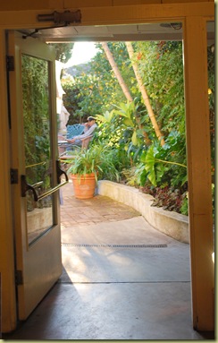 west side sunflower garden