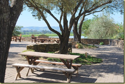 picnic grounds 1