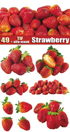 Strawberry Stock photos nicegfx.com