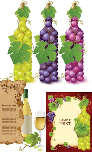 Wine and grapes