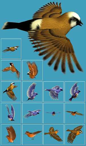 Birds Photoshop nicegfx.com