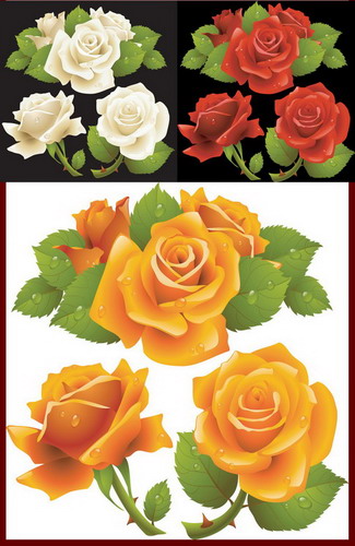 Flowers Roses Vector nicegfx.com