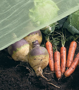 EcoGreen� Micromesh with carrots and other vegetables