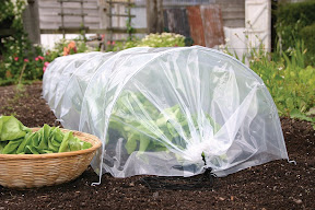 Easy Poly Tunnel - Closed