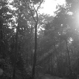 Beams to enlight BW.jpg