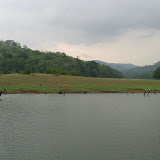 periyar detached.jpg