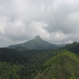 puchipara.jpg