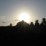 dusk garden.jpg