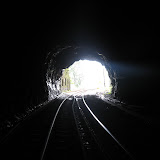 hopefull lights.jpg