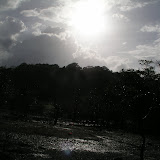 B & W dusk.jpg