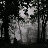 Cool evening.jpg