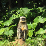IMG_1477.JPG