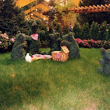 images-Landscape Design and Installation-lnd_dsn_25.jpg