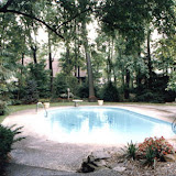 images-Pool Environments and Pool Houses-Pools_8.jpg