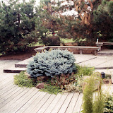 images-Decks Patios and Paths-waterfalls_b16.jpg