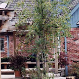 images-Decks Patios and Paths-waterfalls_b24.jpg