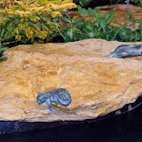 images-Site Amenities-amen_c2.jpg