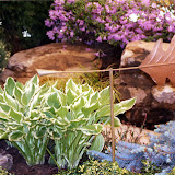 images-Site Amenities-amen_b12.jpg