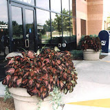 images-Site Amenities-site_amen_8.jpg