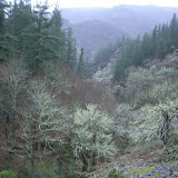 04/01/25 Ruta da Coba (Santa Eulalia de Oscos) Asturias