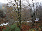Río Monasterio