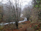 Río Monasterio
