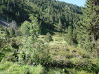 Vall D,Incles
