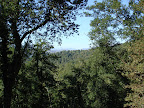 Monte Río Los Vados