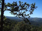 Monte Río los Vados