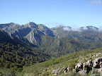 Peña del Viento e bosque de Brañagallones