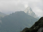 Pico Corbellosu