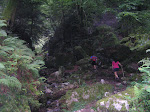 La Biescona
