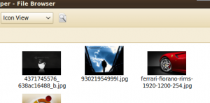 Nautilus Standard screenshot How to display hacking nautilus in ubuntu