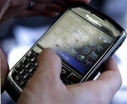 blackberry