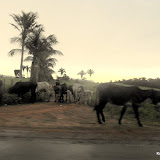 Kamaleao_no_Quebra_Pote_04_04_2010
