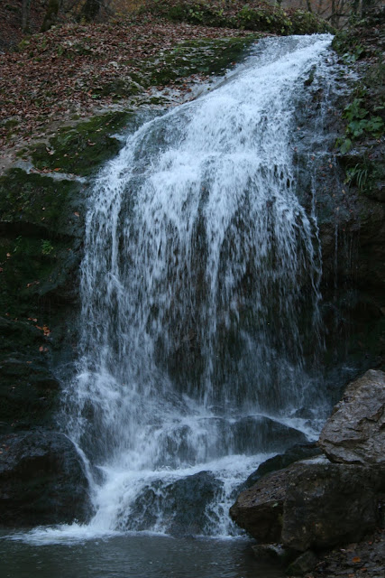 IMG_0252.JPG