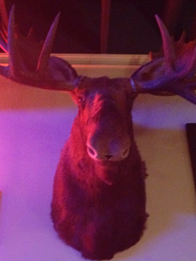 The Great Moose at Locos