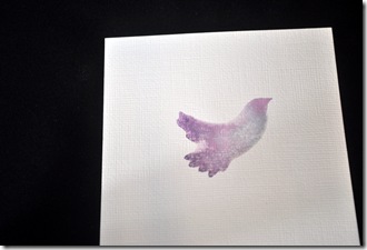 DSC_0750 DSC_0750