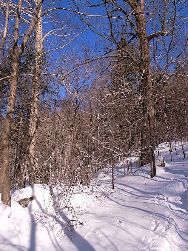 R1076241.JPG
