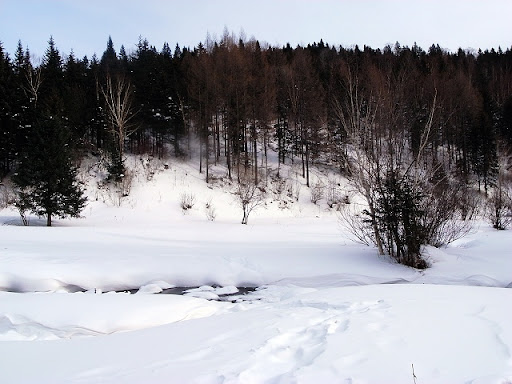 R1076289.JPG