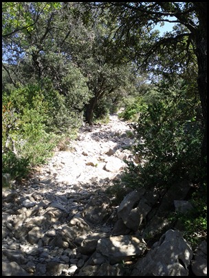 Pic Saint Loup début du chemin