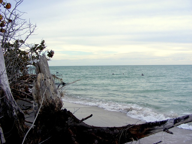 [december 2009 053[5].jpg]