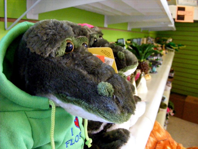 [december20090224.jpg]